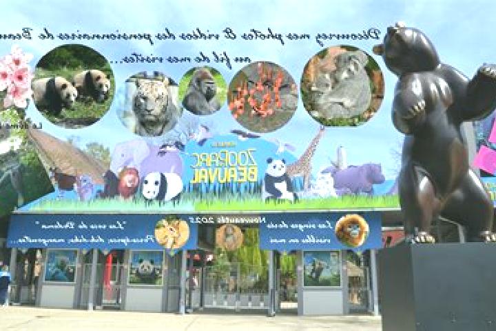 escort Beauval