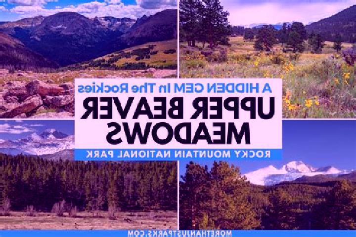 escort Beaver Meadows