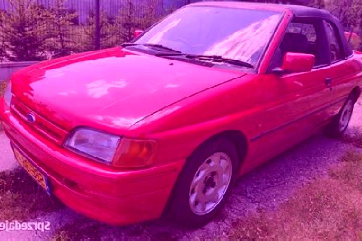 escort Bedzin