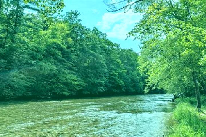 escort Beech Creek
