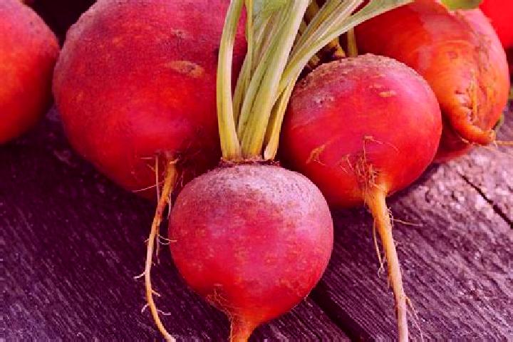 escort Beets