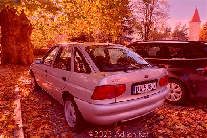 escort Behringen
