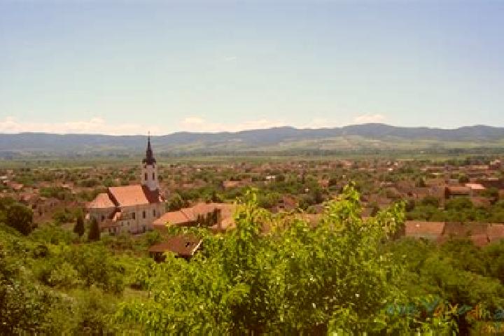 escort Bela Crkva