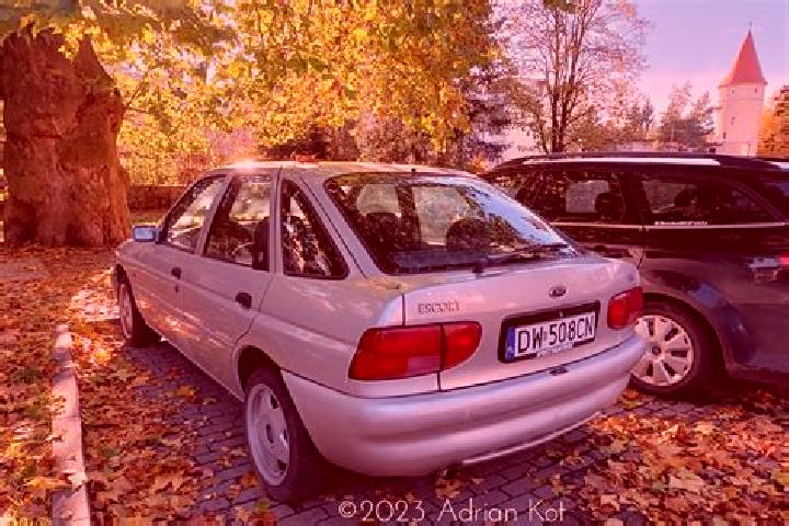 escort Belcourt