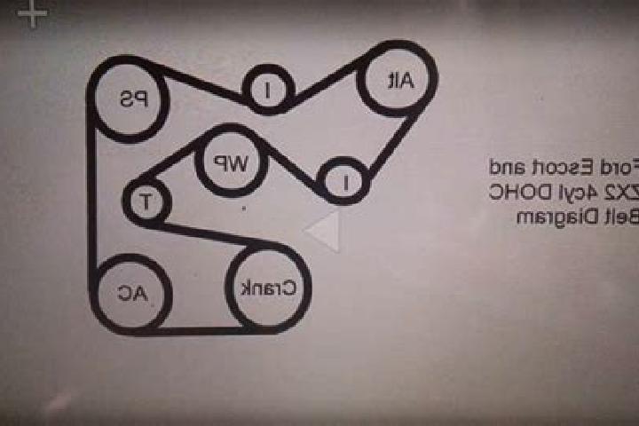 escort Belt