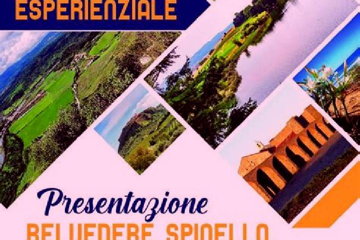 escort Belvedere Spinello