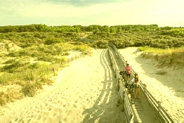 escort Berck-Plage