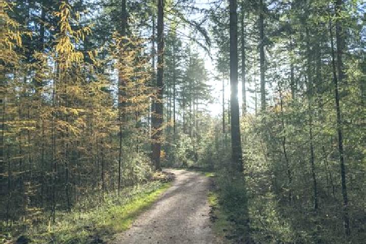 escort Berg en Bos