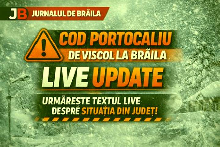 escort Bertestii de Jos