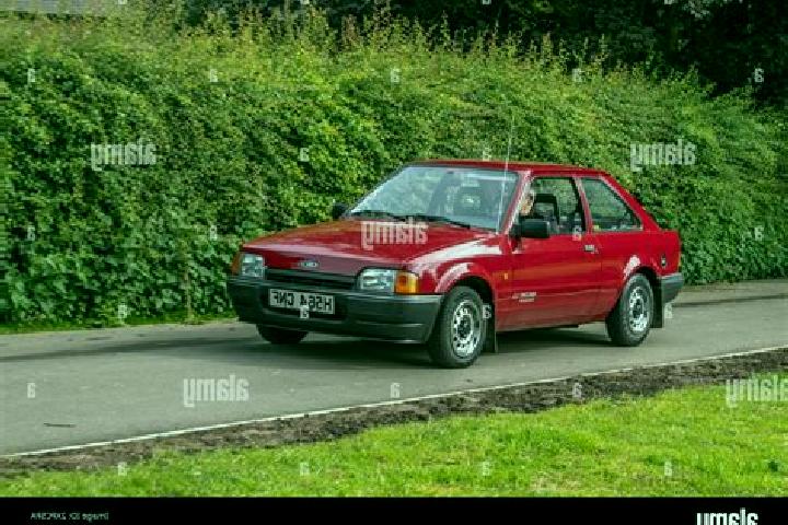 escort Berzosilla