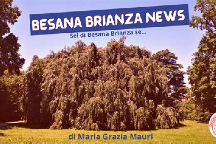 escort Besana in Brianza