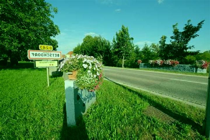 escort Betschdorf