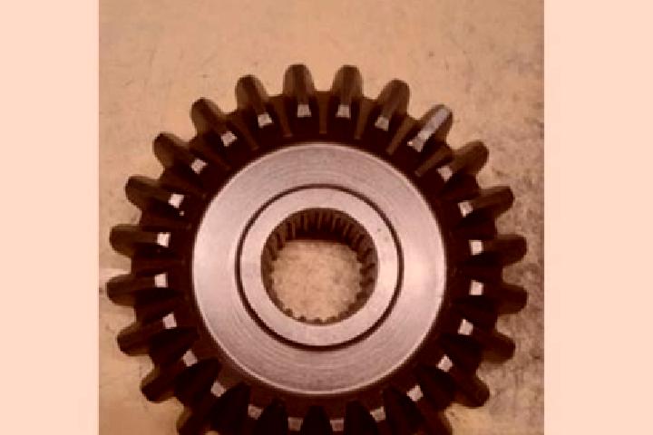 escort Bevel