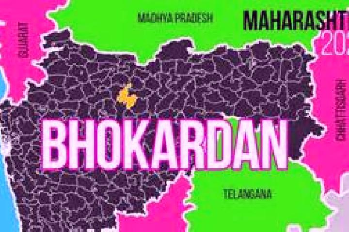 escort Bhokardan