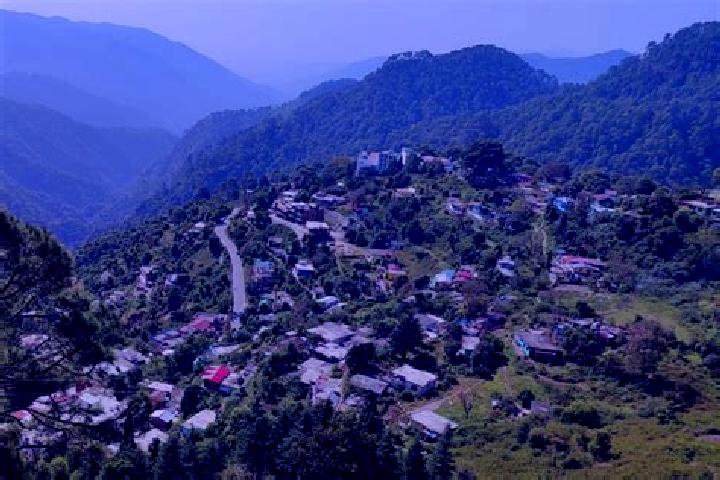 escort Bhowali