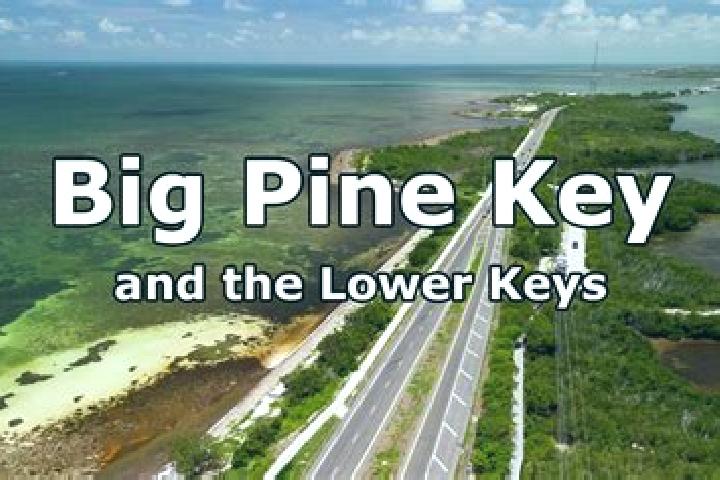 escort Big Pine Key