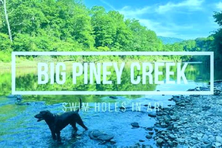 escort Big Piney