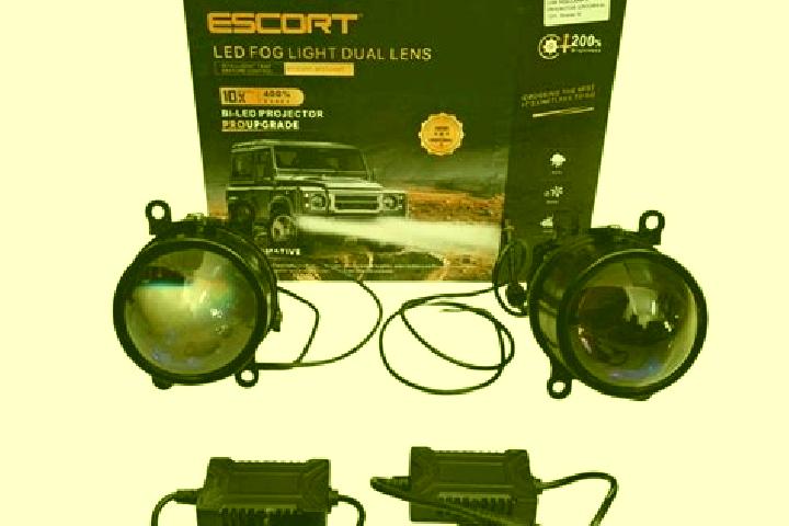 escort Biled