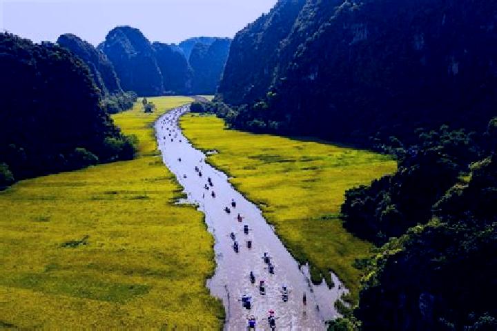 escort Binh Son