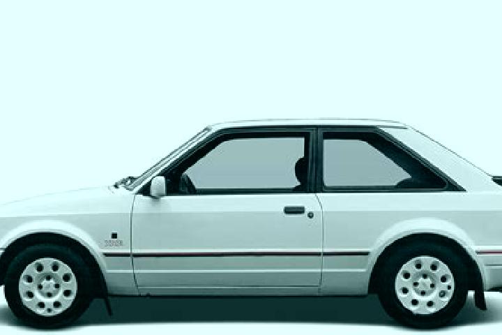 escort Birgi
