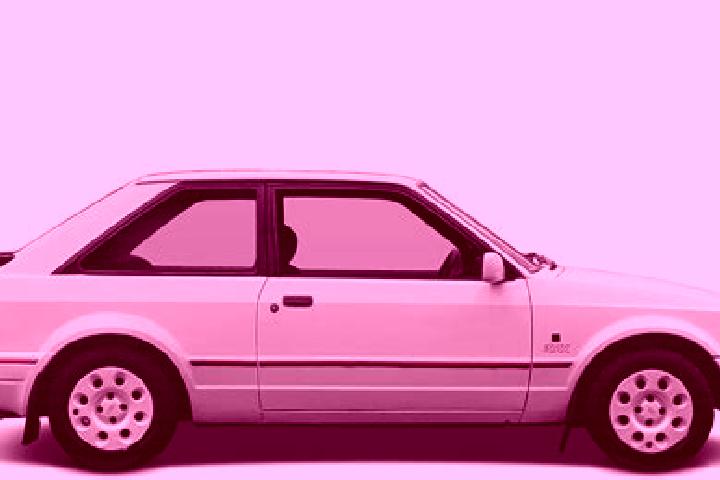 escort Birkeland