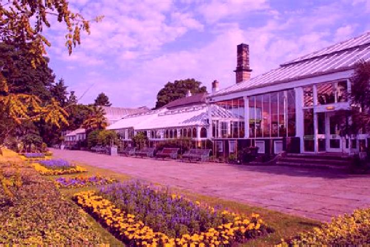 escort Birmingham Gardens