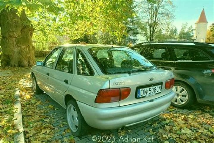 escort Biskupija