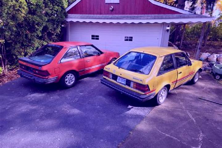 escort Bitswijk