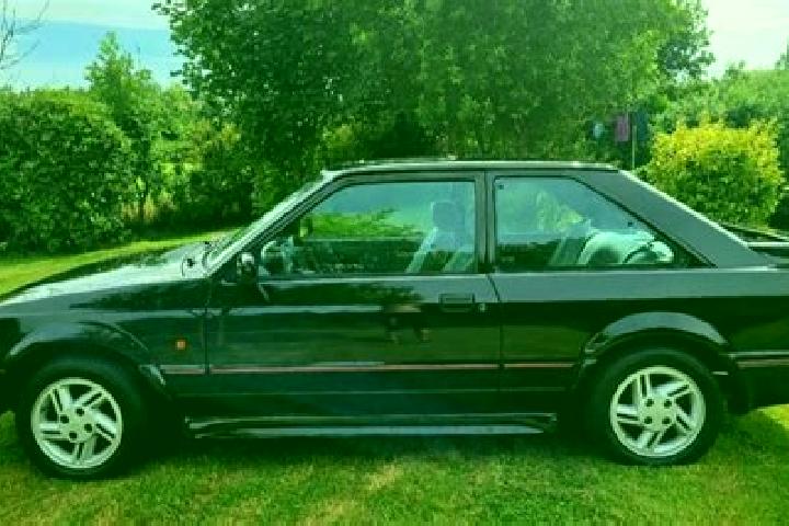 escort Black Forest