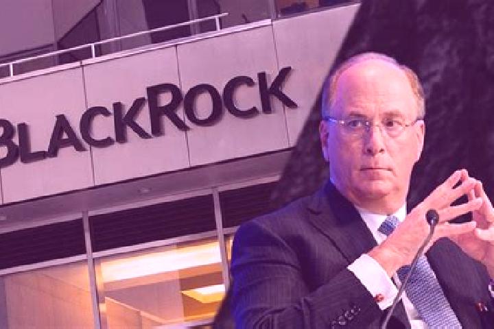escort Blackrock