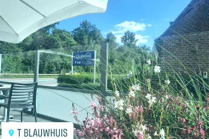 escort Blauwhuis