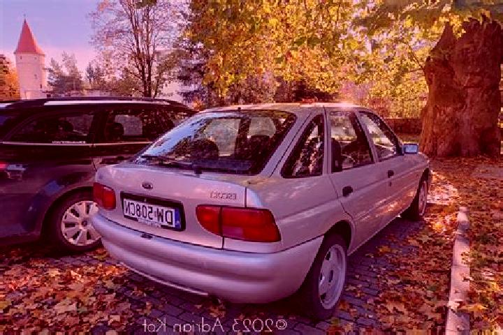 escort Bludesch