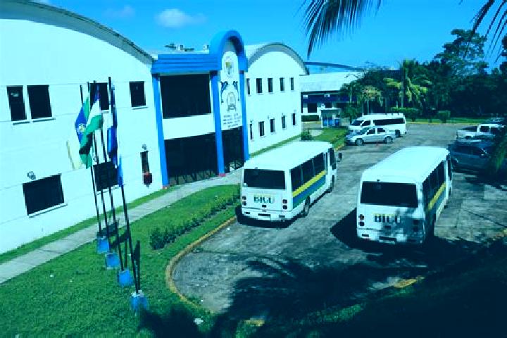 escort Bluefields