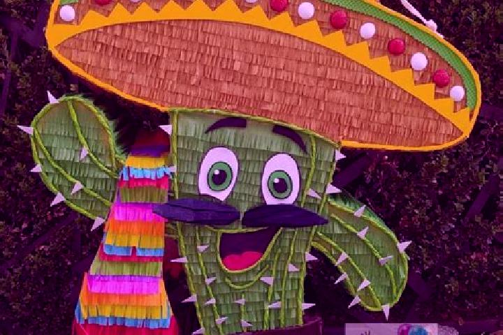 escort Boca Nopal