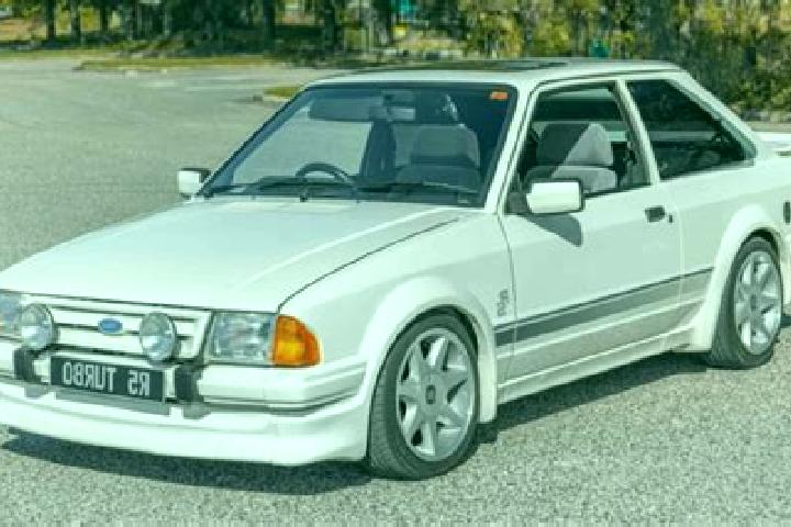 escort Bogatyr