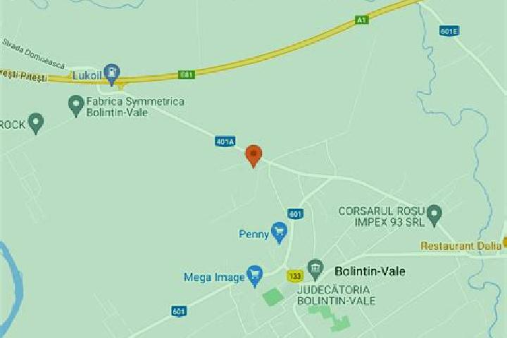 escort Bolintin Vale