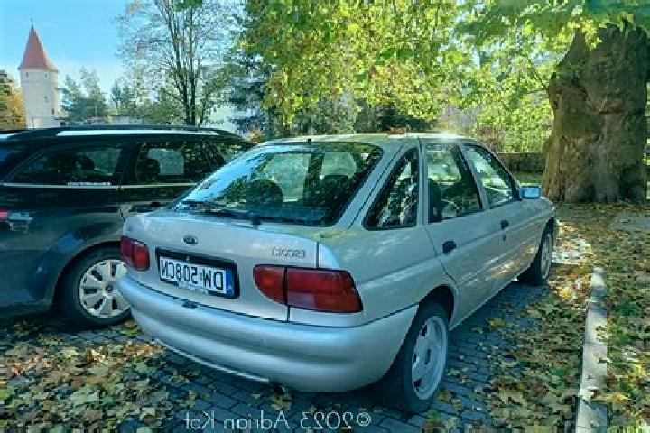 escort Bolsward