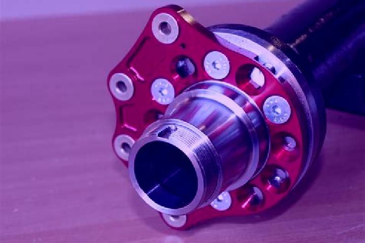 escort Bolt