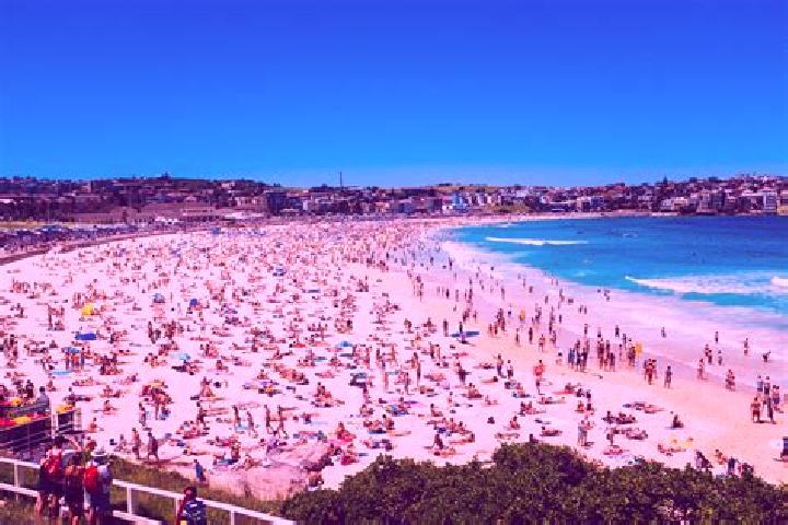 escort Bondi Beach