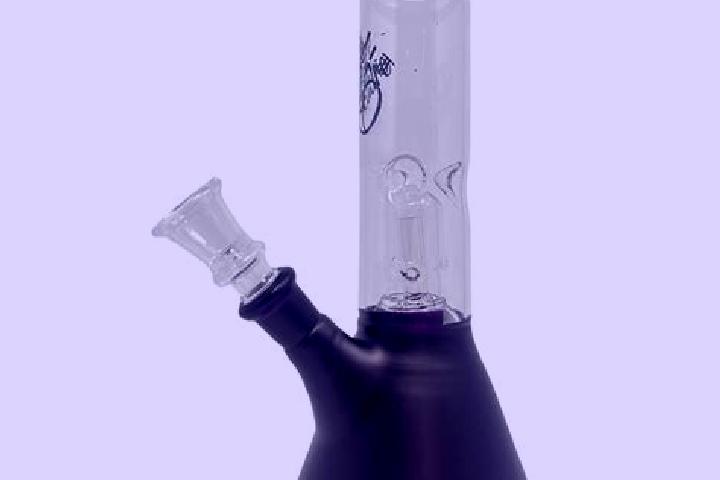 escort Bong