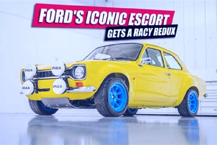 escort Bonifacio Falcon