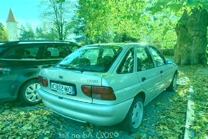 escort Bonisiolo
