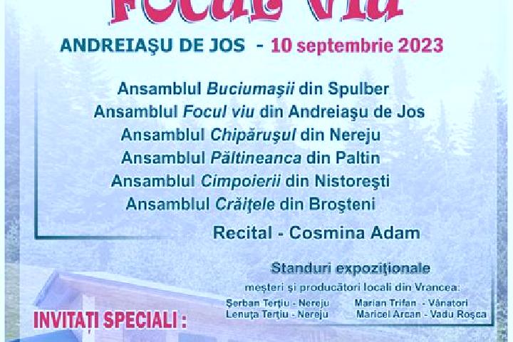 escort Bordestii de Jos
