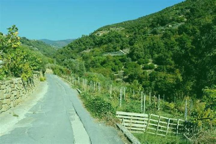 escort Bordighera