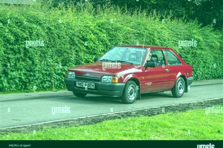 escort Borehamwood