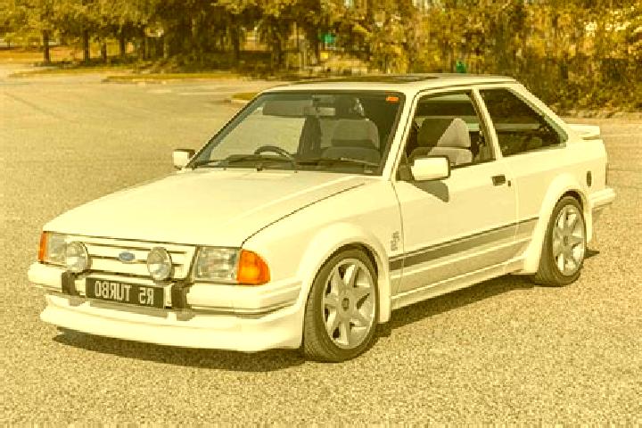 escort Borgholzhausen