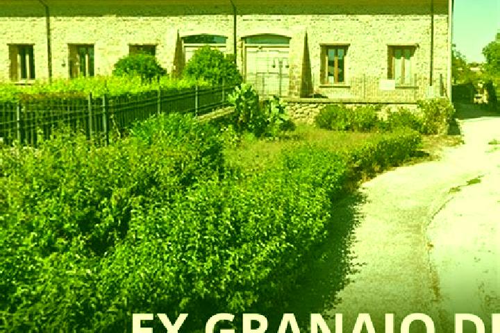 escort Borgo Montello