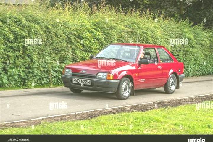 escort Borio