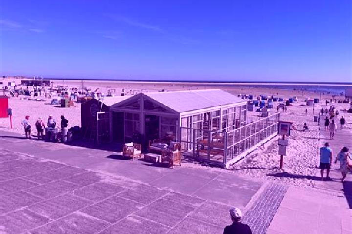 escort Borkum