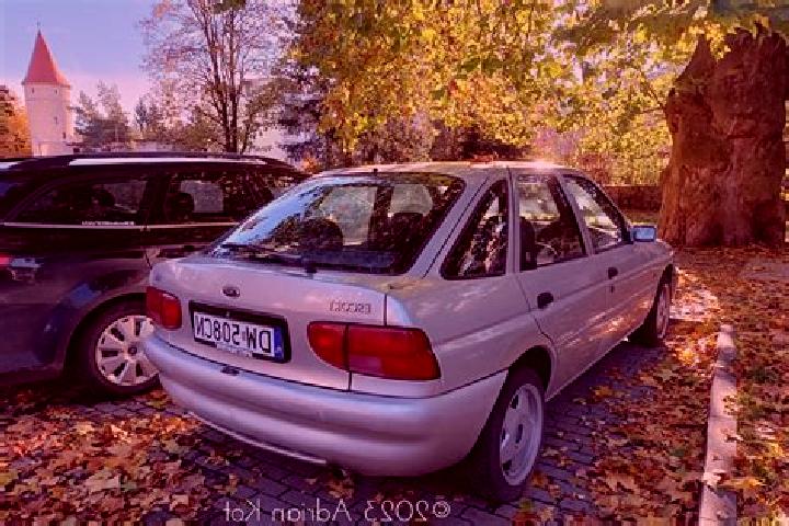 escort Bornhagen
